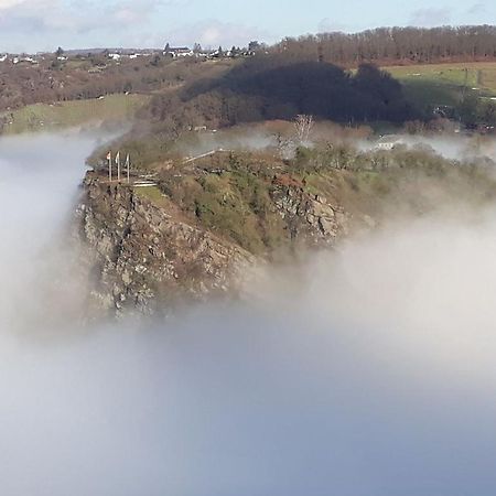 Ferienwohnung 554 - Urbar, vis-á-vis der Loreley Urbar  Buitenkant foto