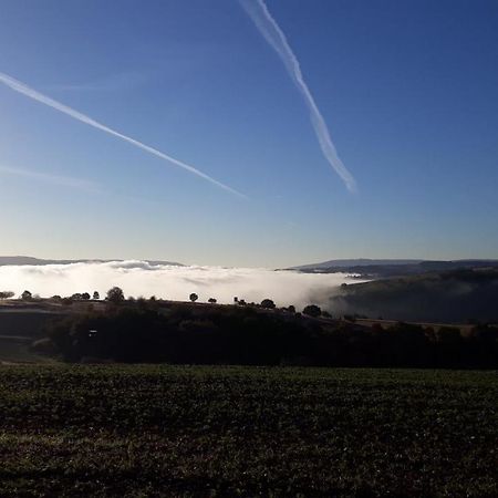 Ferienwohnung 554 - Urbar, vis-á-vis der Loreley Urbar  Buitenkant foto