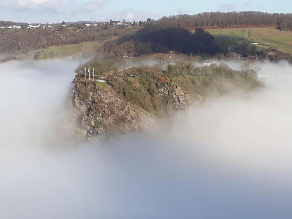 Ferienwohnung 554 - Urbar, vis-á-vis der Loreley Urbar  Buitenkant foto