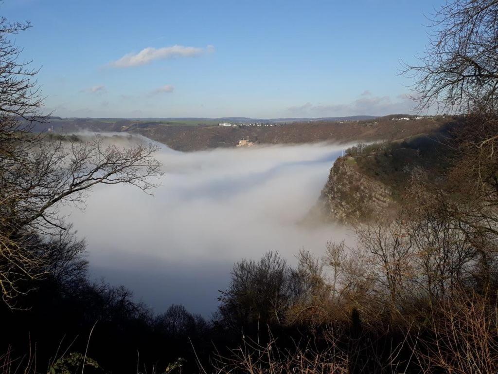 Ferienwohnung 554 - Urbar, vis-á-vis der Loreley Urbar  Buitenkant foto
