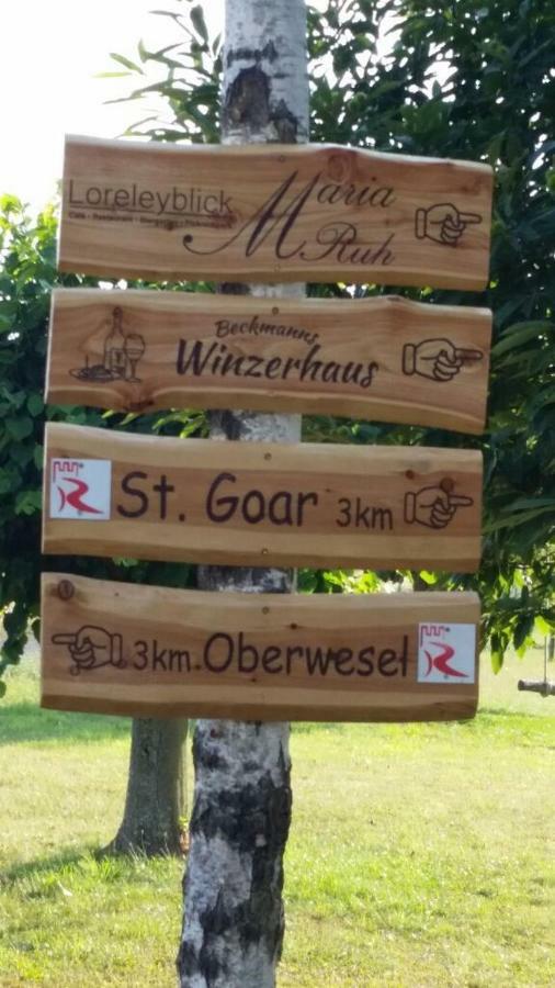 Ferienwohnung 554 - Urbar, vis-á-vis der Loreley Urbar  Buitenkant foto