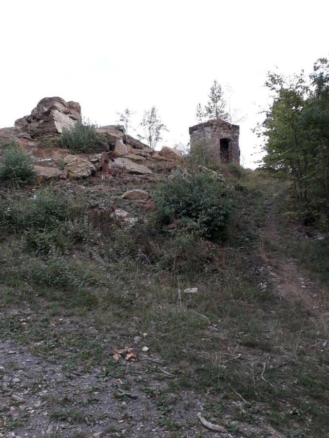 Ferienwohnung 554 - Urbar, vis-á-vis der Loreley Urbar  Buitenkant foto